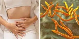 Cientistas descobrem o que pode ser a verdadeira causa da endometriose – e a possível cura que ninguém esperava