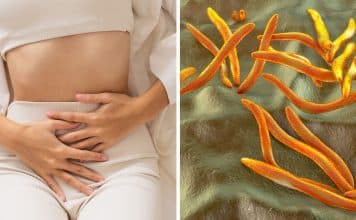 sabiaspalavras.com - S&aacute;bias Palavras