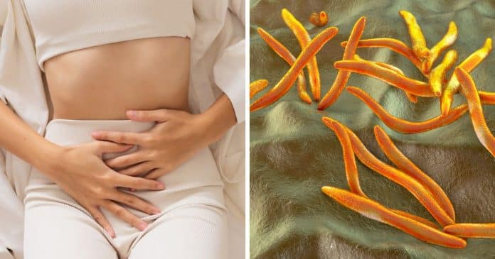 Cientistas descobrem o que pode ser a verdadeira causa endometriose – e a possível cura que ninguém esperava