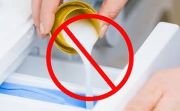 sabiaspalavras.com - S&aacute;bias Palavras