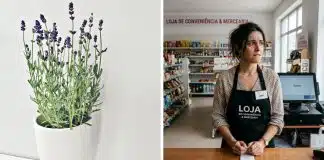 Cuidado com a lavanda no seu comércio: o aroma pode estar AFASTANDO clientes sem você perceber