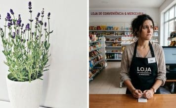 sabiaspalavras.com - S&aacute;bias Palavras