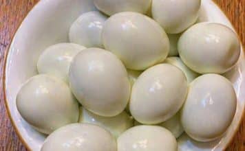 sabiaspalavras.com - S&aacute;bias Palavras