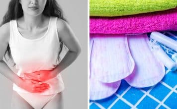 sabiaspalavras.com - S&aacute;bias Palavras