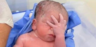 sabiaspalavras.com - S&aacute;bias Palavras