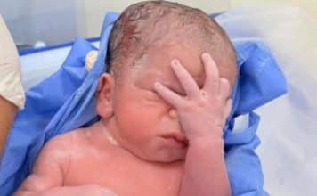 sabiaspalavras.com - S&aacute;bias Palavras