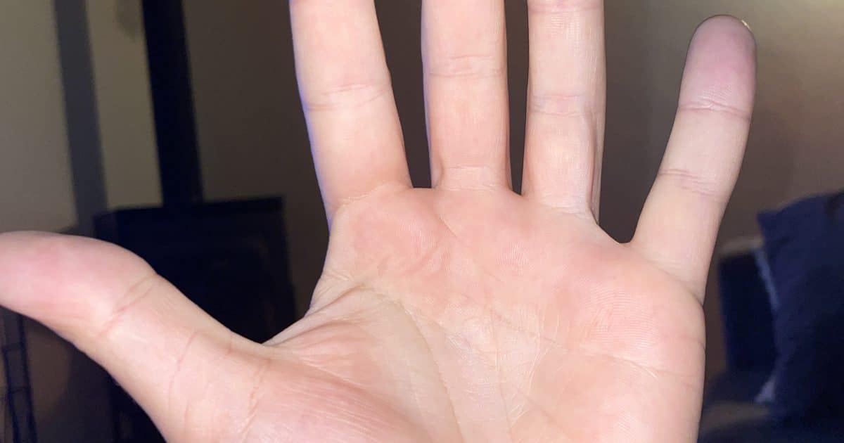 Palm order – spvsousa@gmail.com