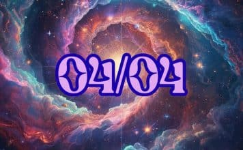 sabiaspalavras.com - S&aacute;bias Palavras