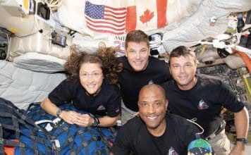 sabiaspalavras.com - S&aacute;bias Palavras