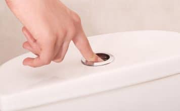 sabiaspalavras.com - S&aacute;bias Palavras