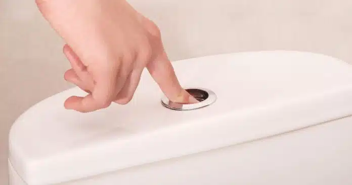 Você realmente precisa dar descarga toda vez que faz xixi? A resposta pode chocar