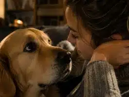 5 sinais espirituais que seu cão te dá e você provavelmente já viveu um deles hoje