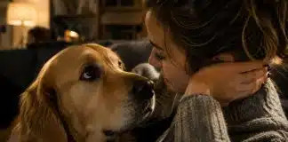 5 sinais espirituais que seu cão te dá e você provavelmente já viveu um deles hoje