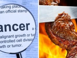 Cientistas alertam para compostos ligados ao câncer “produzidos” em alimentos comuns e que muita gente ignora