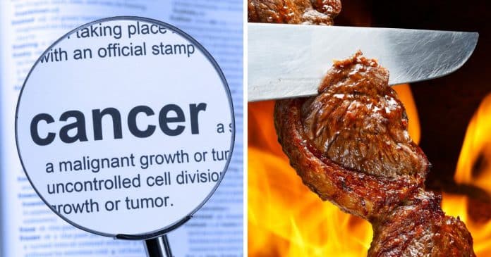 cientistas-alertam-para-compostos-ligados-ao-cancer-produzidos-em-alimentos-comuns-e-que-muita-gente-ignora Cientistas alertam para compostos ligados ao câncer “produzidos” em alimentos comuns e que muita gente ignora