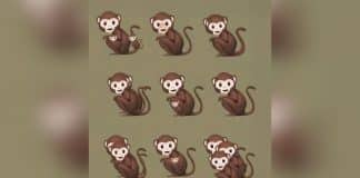 O número de macacos que você vê nesta imagem revela se você é narcisista