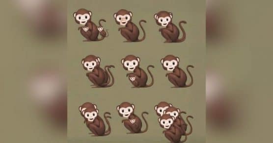 O número de macacos que você vê nesta imagem revela se você é narcisista
