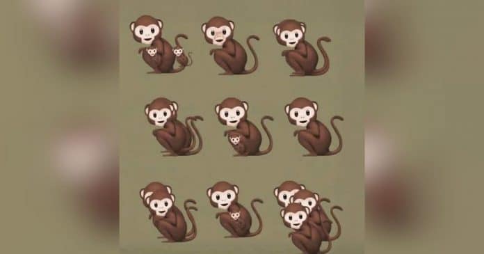 O número de macacos que você vê nesta imagem revela se você é narcisista