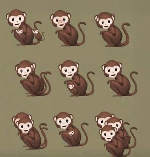 sabiaspalavras.com - O n&uacute;mero de macacos que voc&ecirc; v&ecirc; nesta imagem revela se voc&ecirc; &eacute; narcisista