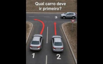 sabiaspalavras.com - S&aacute;bias Palavras