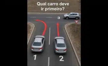 sabiaspalavras.com - S&aacute;bias Palavras