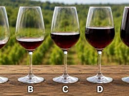 TESTE: Qual dessas taças de vinho foi servida corretamente?