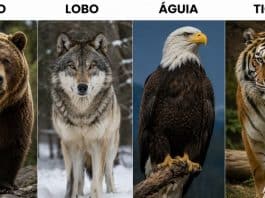 Que animal você escolheria ser? Sua resposta revela algo inesperado