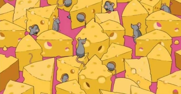 Você consegue encontrar o ‘dado escondido entre os queijos e ratos’ em 5 segundos? Poucos conseguiram