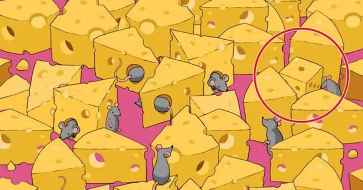 sabiaspalavras.com - Voc&ecirc; consegue encontrar o 'dado escondido entre os queijos e ratos' em 5 segundos? Poucos conseguiram