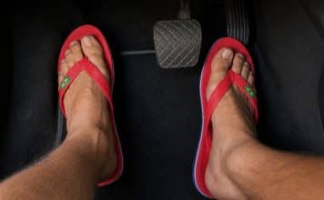 sabiaspalavras.com - S&aacute;bias Palavras