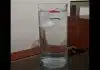 sabiaspalavras.com - S&aacute;bias Palavras