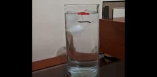Enigma do copo de água com gelo: o nível sobe ou não quando os cubos derretem?