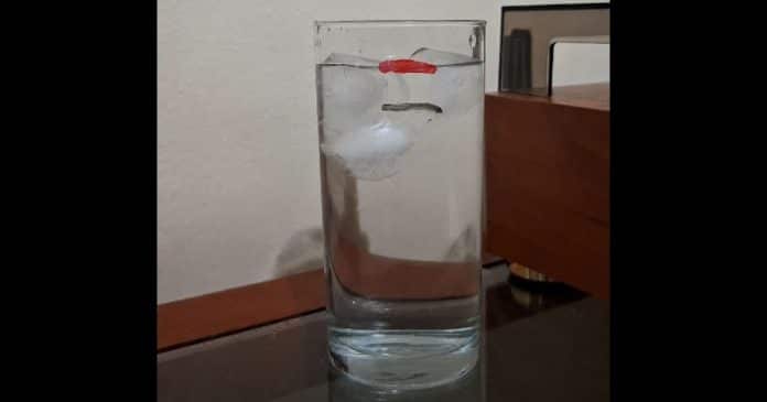 enigma-do-copo-de-agua-com-gelo-o-nivel-sobe-ou-nao-quando-os-cubos-derretem Enigma do copo de água com gelo: o nível sobe ou não quando os cubos derretem?
