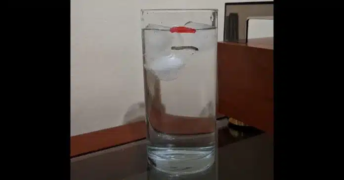 enigma-do-copo-de-agua-com-gelo-o-nivel-sobe-ou-nao-quando-os-cubos-derretem Enigma do copo de água com gelo: o nível sobe ou não quando os cubos derretem?