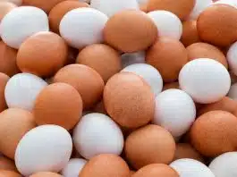 Ovo branco ou marrom: afinal, qual é o melhor? A verdade que ninguém te conta