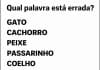 sabiaspalavras.com - S&aacute;bias Palavras