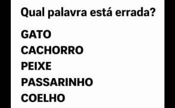 sabiaspalavras.com - S&aacute;bias Palavras