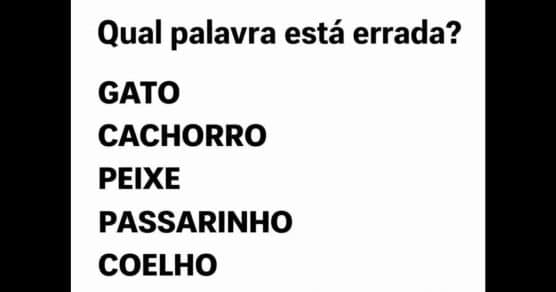 99% das pessoas erram este Teste de Atenção: “Qual palavra está errada?”
