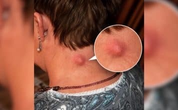 sabiaspalavras.com - S&aacute;bias Palavras