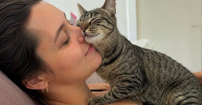 Estudo surpreende ao explicar por que os gatos se comportam de maneira diferente com homens e mulheres
