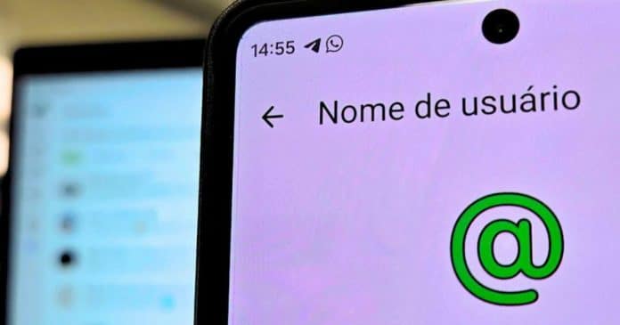 Novo recurso do WhatsApp pode colocar sua privacidade em risco; veja o erro que muitos vão cometer