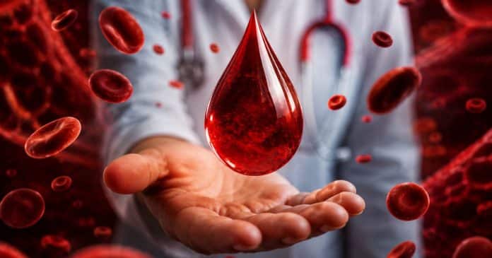 Se você tem ESSE tipo de sangue, provavelmente irá viver mais de 100 anos