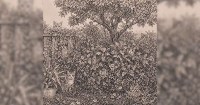 Teste de Jung: Quantos gatos você consegue encontrar nesta imagem?
