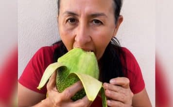 sabiaspalavras.com - S&aacute;bias Palavras