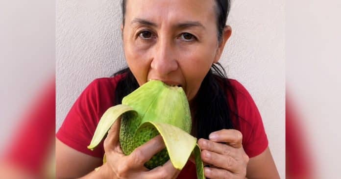 A verdade sobre o abacate que quase ninguém conhece: médicos explicam por que ele é diferente de todas as frutas