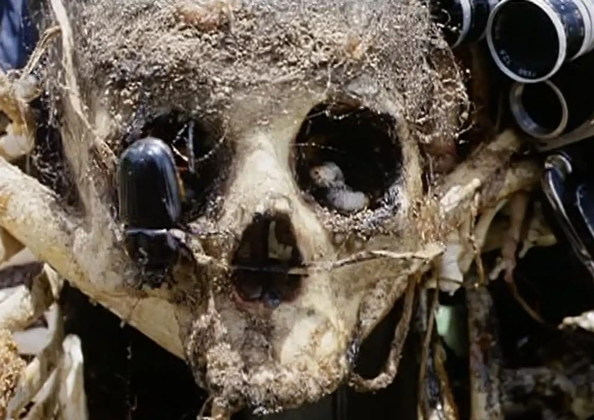 ESTE filme de terror é tão realista que seu diretor foi acusado de assassinato sabiaspalavras.com - ESTE filme de terror é tão realista que seu diretor foi acusado de assassinato