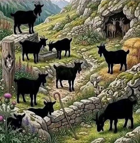 sabiaspalavras.com - 99% das pessoas erram ao tentar encontrar todas as cabras neste desafio intrigante! Voc&ecirc; consegue acertar?