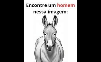 sabiaspalavras.com - S&aacute;bias Palavras