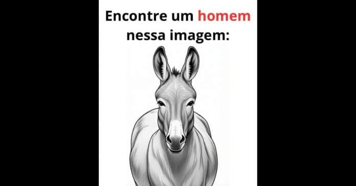 99% das pessoas não conseguem encontrar o homem escondido nesta imagem… você conseguiu?