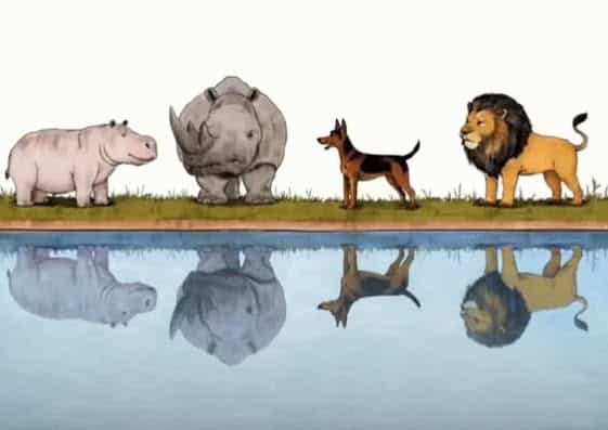 sabiaspalavras.com - "Encontre o reflexo errado": h&aacute; um detalhe escondido nesta imagem que quase ningu&eacute;m consegue perceber